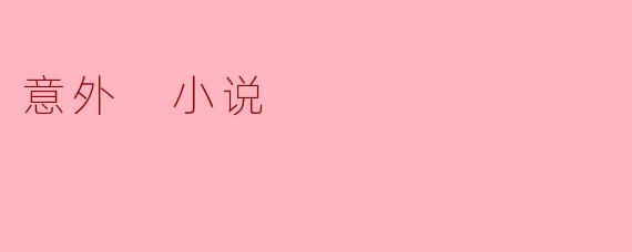 意外 小说